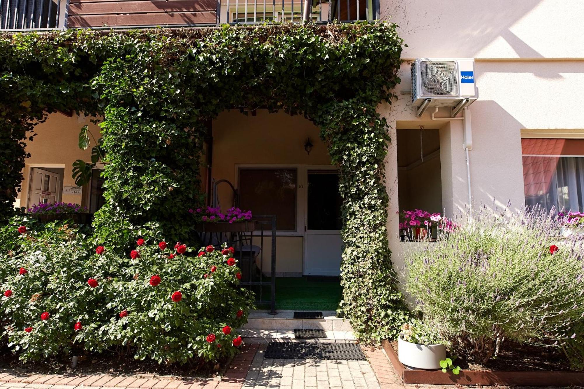 Osrodek Wypoczynkowy Relaks I Apartamenty Łeba Δωμάτιο φωτογραφία